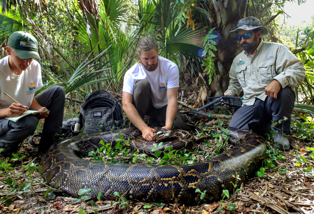 Top US States With The Most Snakes